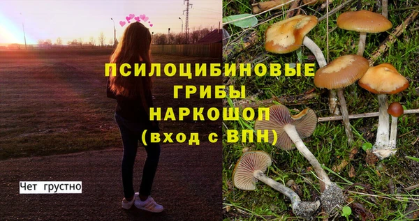 соль курить ск Вязники